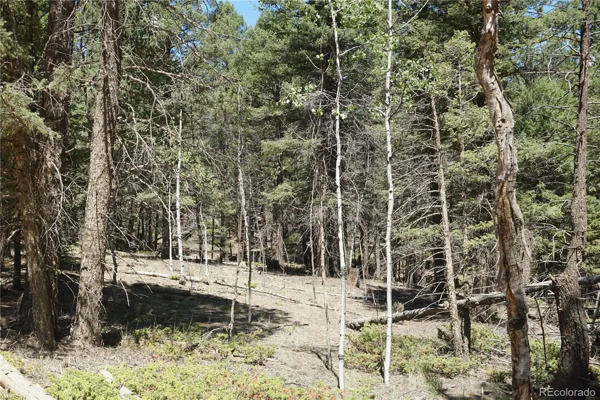 616 Indian Creek Road, Florissant, CO 80816 - #1