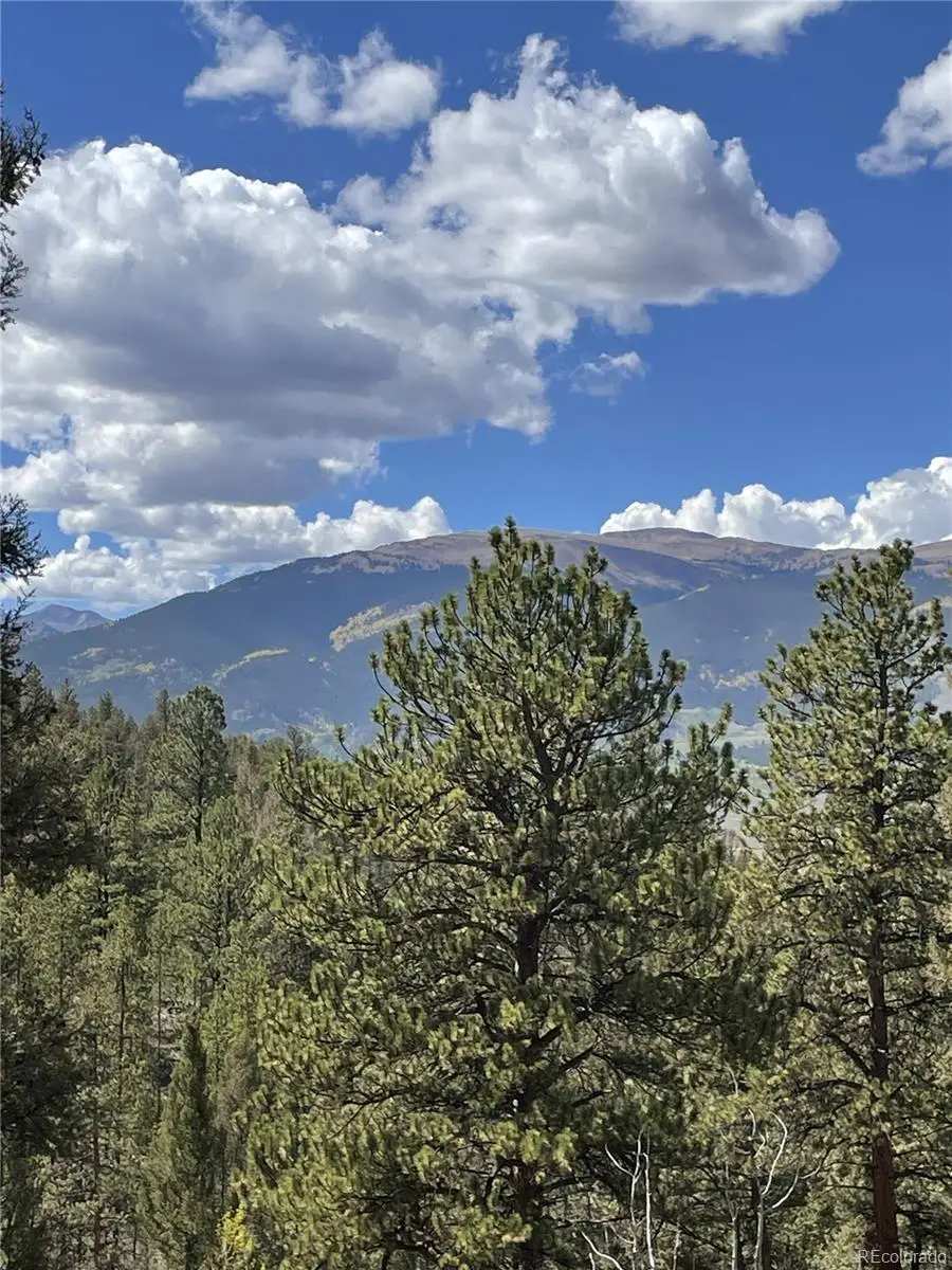 000 County Road 396, Granite, CO 81228 - #2