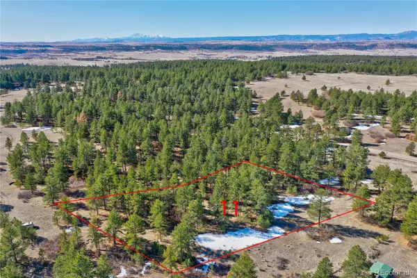 8988 Tanglewood Road, Franktown, CO 80116