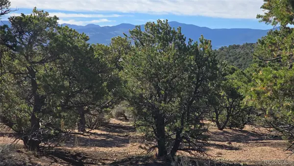 Lot 3873 Shinn Road, Fort Garland, CO 81133