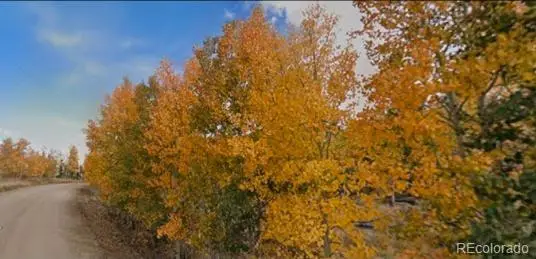 75 Antler Ridge, Como, CO 80456