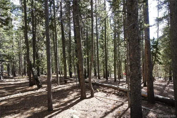 000 Loch Lomond Rd & Vista Rd, Idaho Springs, CO 80452