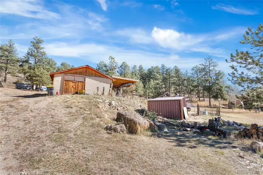 947 Sleepy Hollow Drive, Bailey, CO 80421 - #3