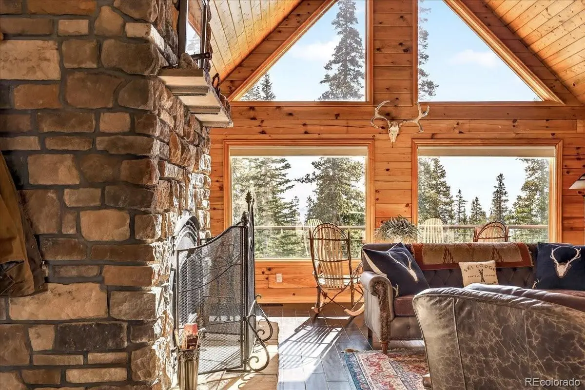 103 Prunes Place, Fairplay, CO 80440 - #1