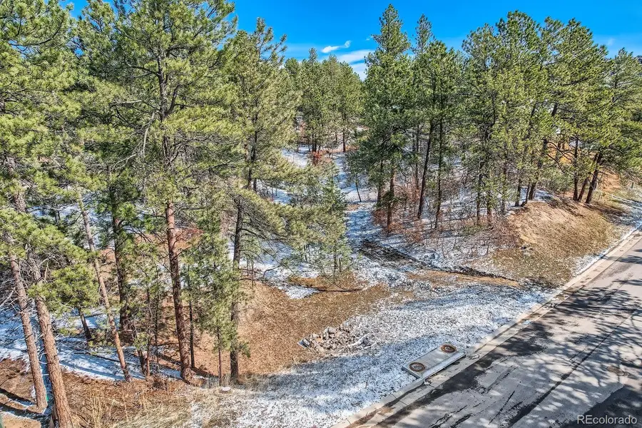 665 Copper Fox Place, Larkspur, CO 80118 - Image #3