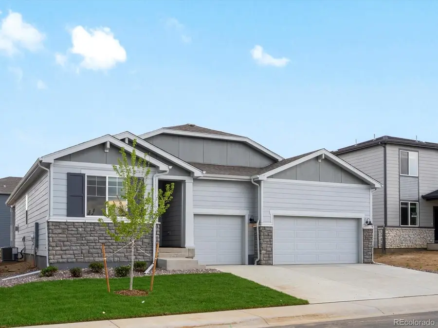 1603 Nathan River Drive, Windsor, CO 80550 - #3