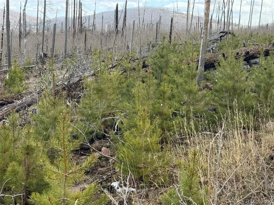 Lot 1960 Hilda Lane, Fort Garland, CO 81133 - #3