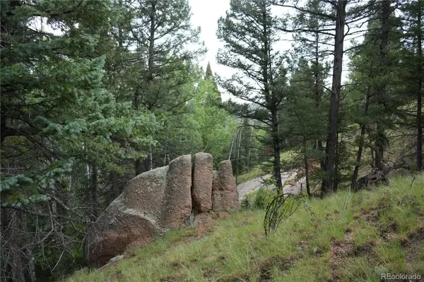 28 Feldspar Road, Florissant, CO 80816