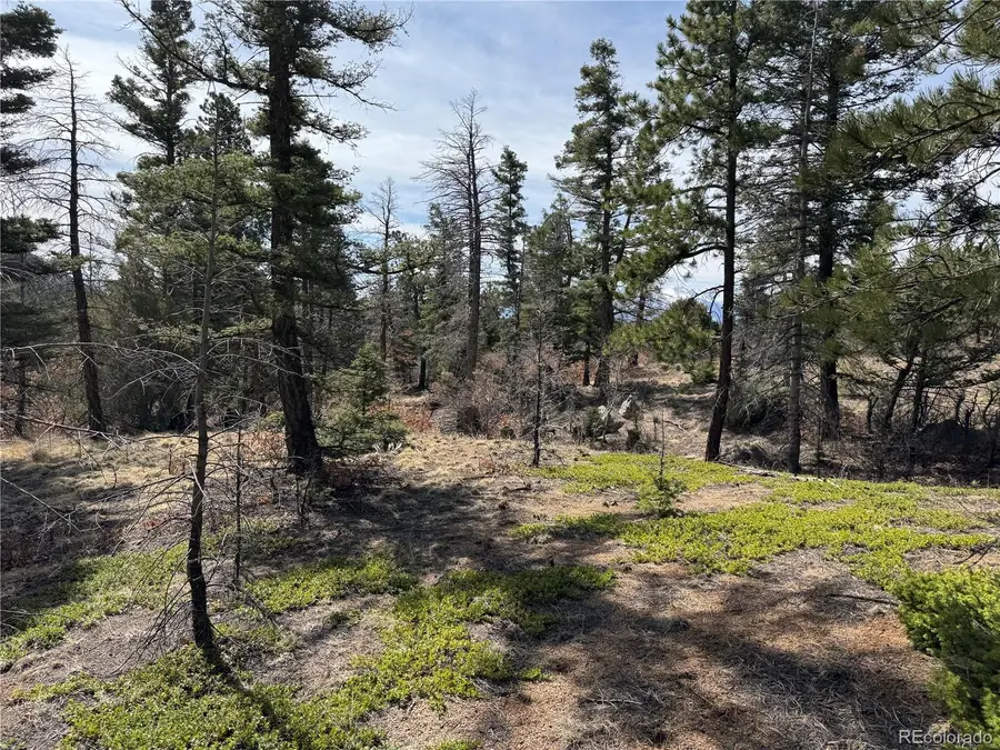 Basin Drive, Cotopaxi, CO 81223 - Image #2