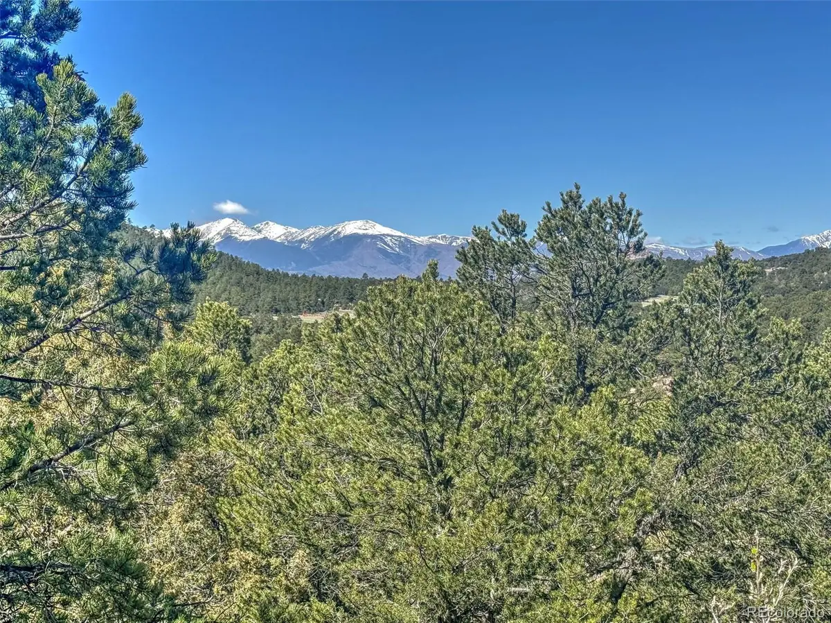 176 Bel Air Way, Cotopaxi, CO 81223 - #1