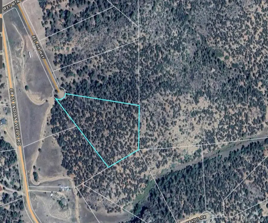 176 Bel Air Way, Cotopaxi, CO 81223 - #3