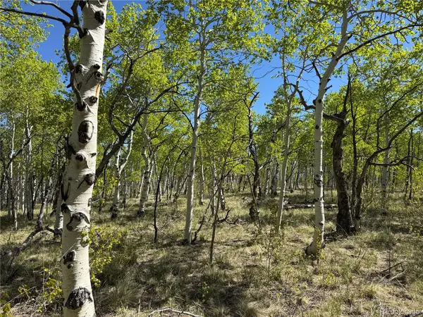 275 Oxen Court, Hartsel, CO 80449