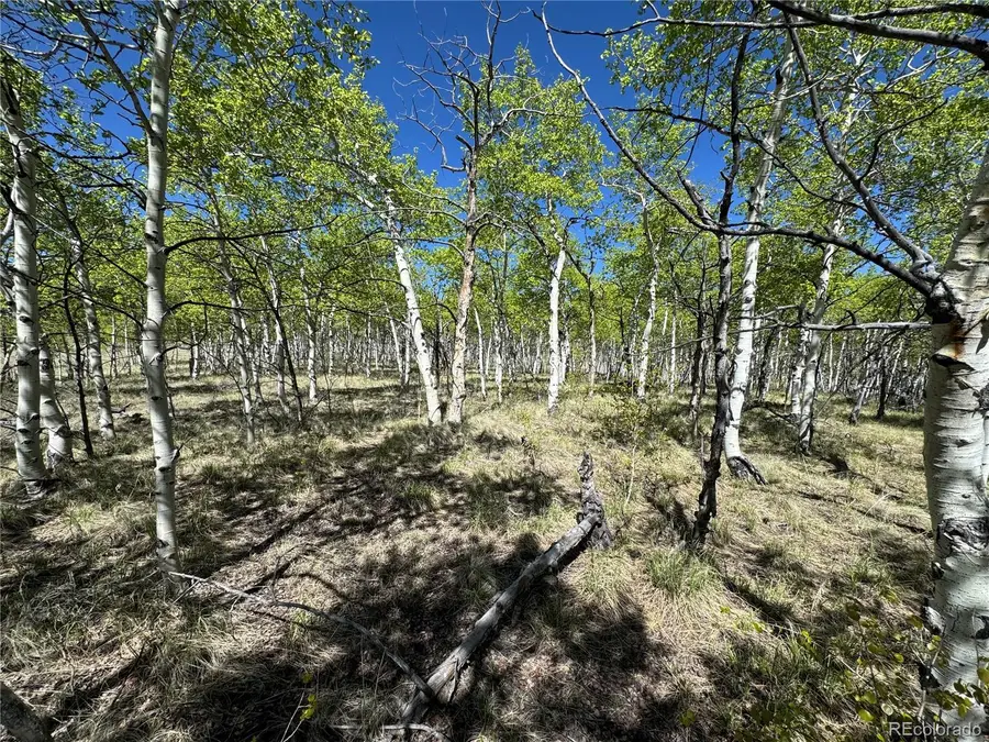 275 Oxen Court, Hartsel, CO 80449 - Image #2