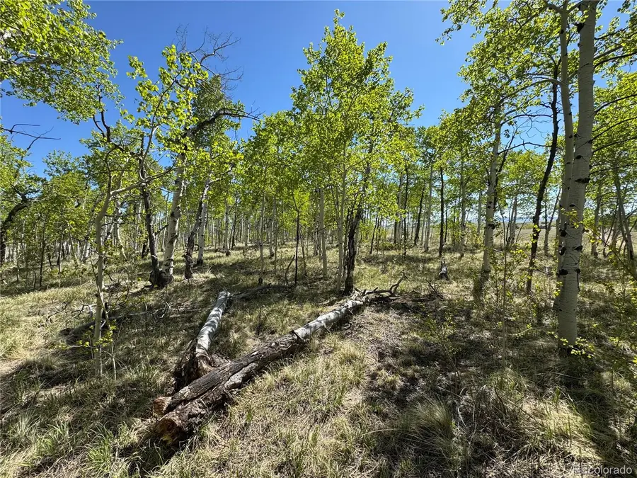 275 Oxen Court, Hartsel, CO 80449 - Image #3