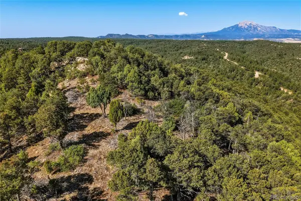 93 Blackhawk Ranch, Walsenburg, CO 81089