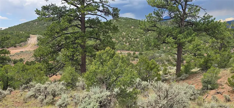 Lot 4401 Melcarth Road, Fort Garland, CO 81133 - Image #2