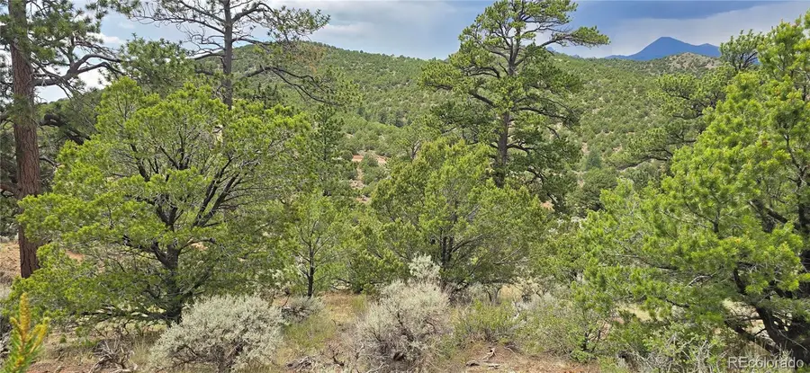 Lot 4401 Melcarth Road, Fort Garland, CO 81133 - Image #3