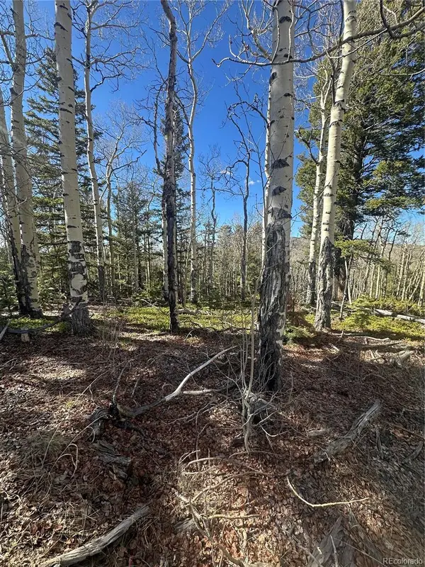 Lot 6744 Starkweather Road, San Luis, CO 81152