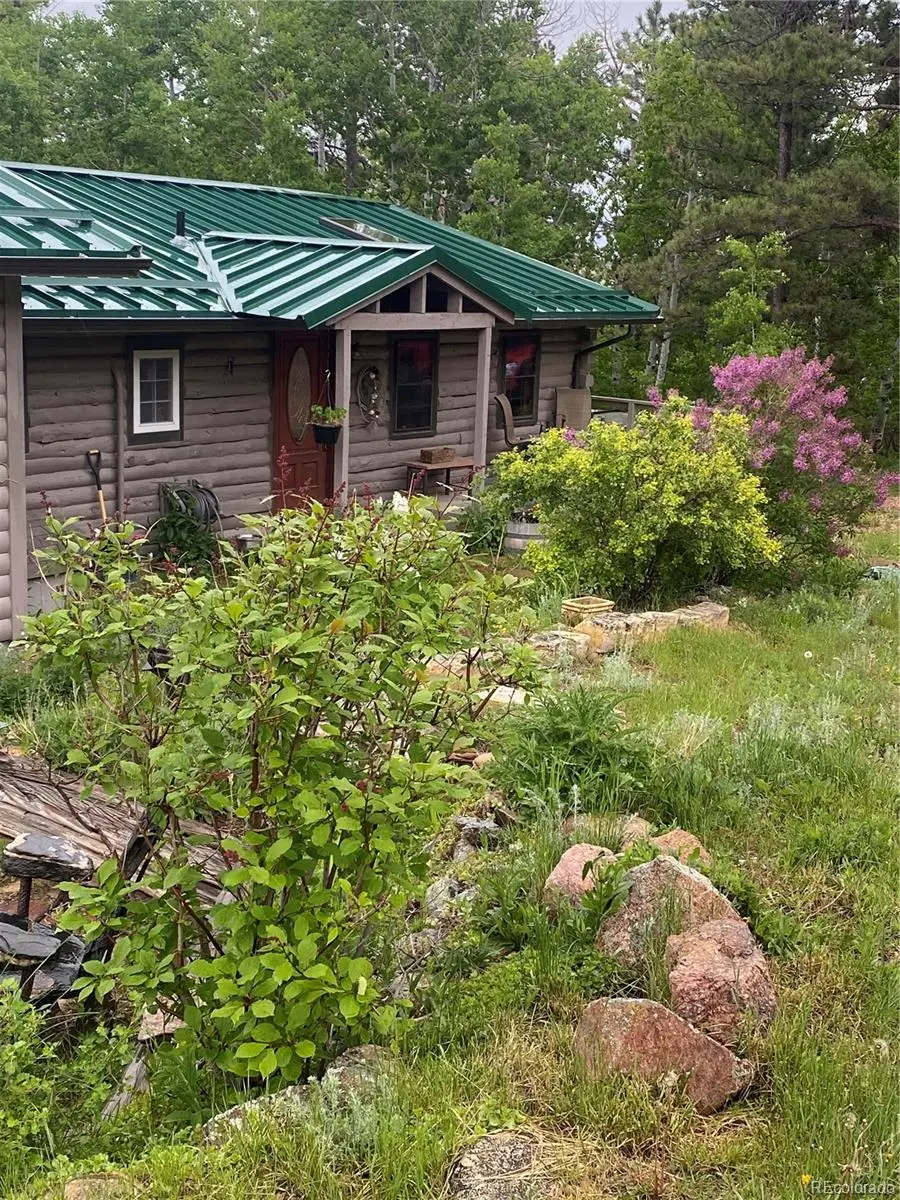 150 Mount Fisher, Livermore, CO 80536 - #3