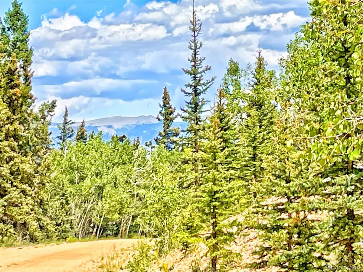 224 Apache Trail, Como, CO 80456 - #1