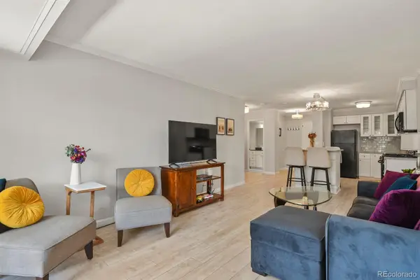 800 N Washington Street #307, Denver, CO 80203