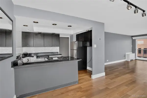 888 N Logan Street #9H, Denver, CO 80203