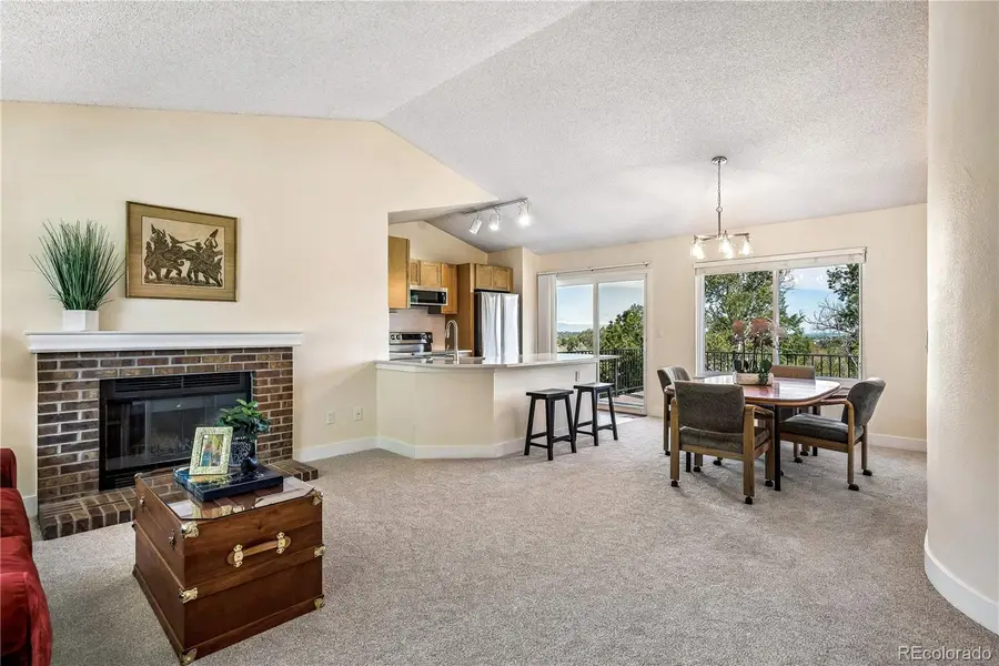 11621 Laurel Lane, Parker, CO 80138 - #2