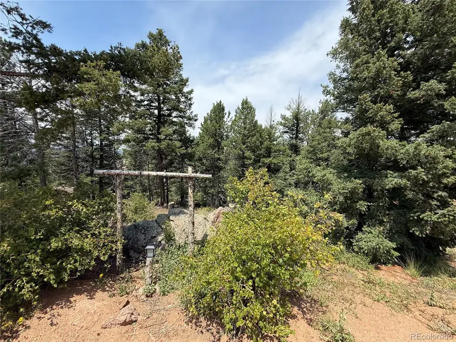 3546 N Mountain Estates Road, Florissant, CO 80816 - Image #3