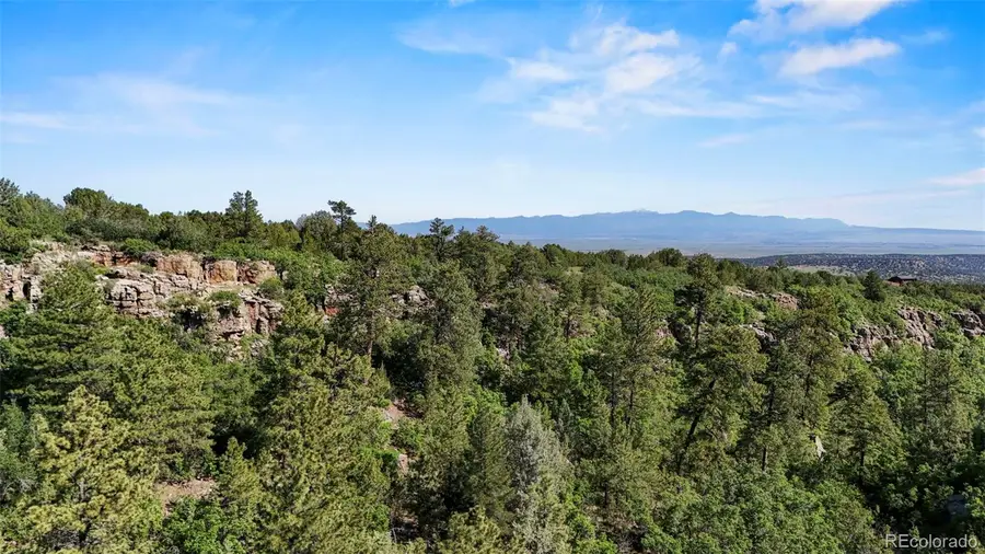 Old Homestead Lane, Beulah, CO 81023 - Image #3