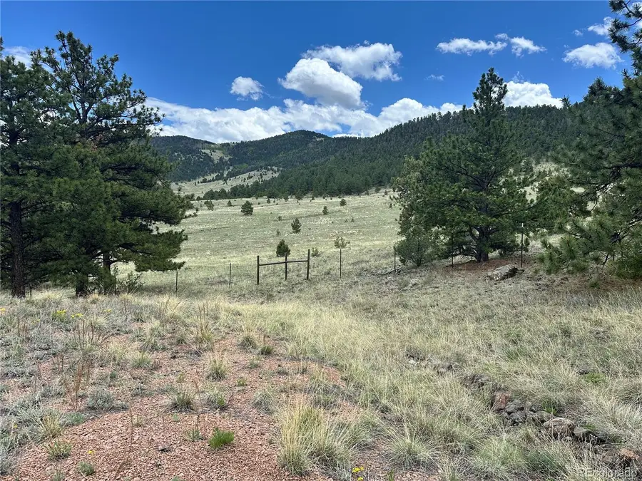 706 Bristlecone Road, Guffey, CO 80820 - Image #3