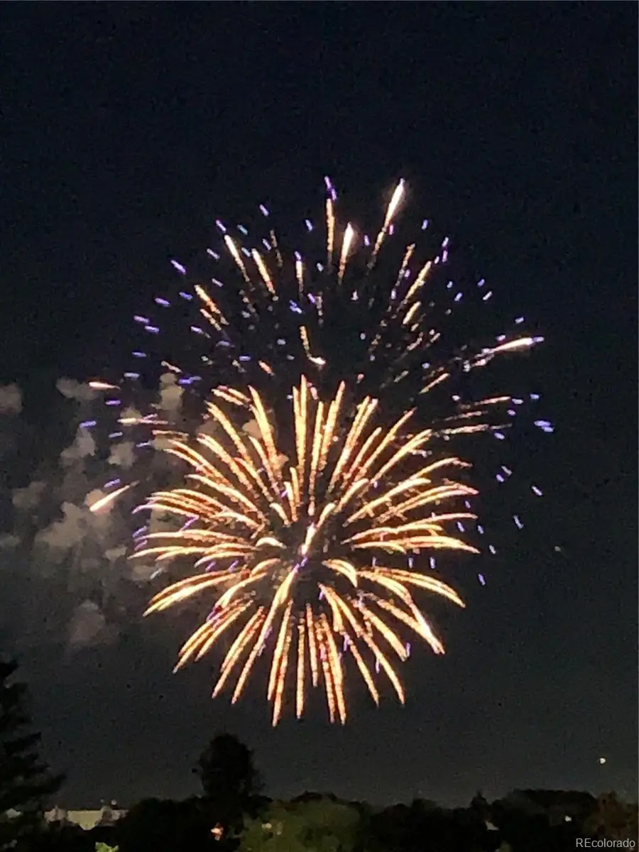 2477 Bellavista Street, Castle Rock, CO 80109 - Image #3