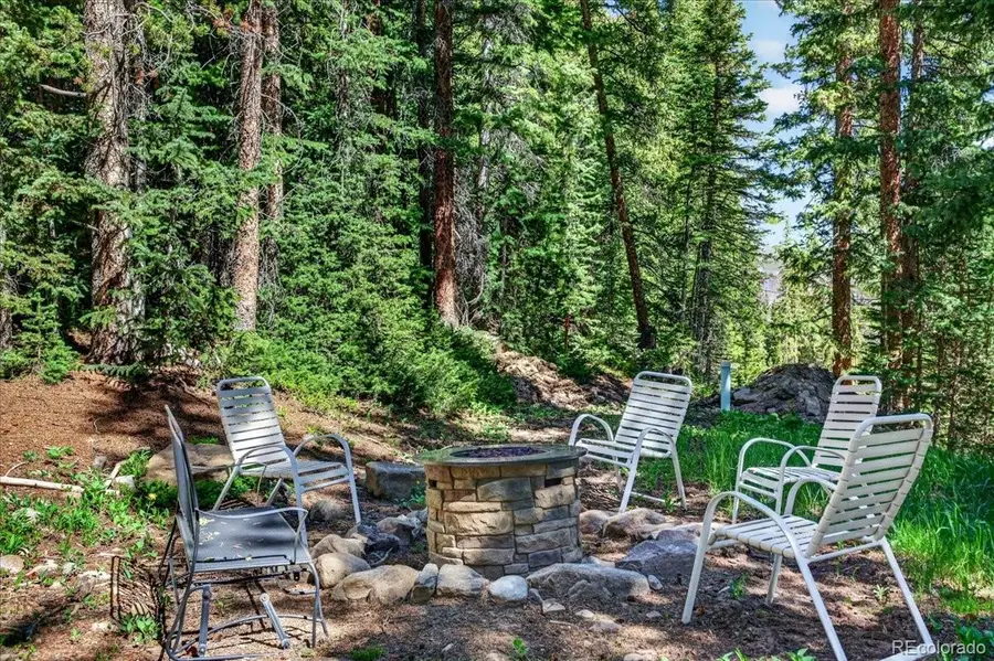 255 Bum Drive, Fairplay, CO 80440 - #3