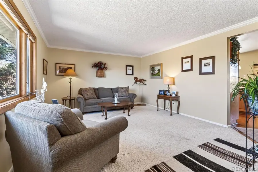 12360 Mesa View Road, Larkspur, CO 80118 - #2