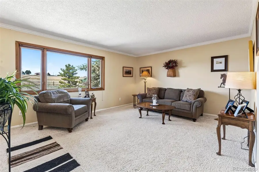 12360 Mesa View Road, Larkspur, CO 80118 - #3