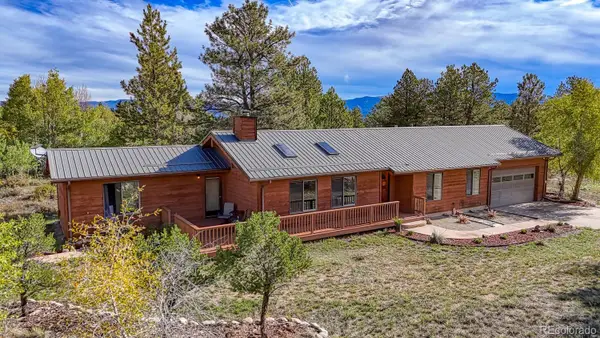 13607 County Road 261 C, Nathrop, CO 81236
