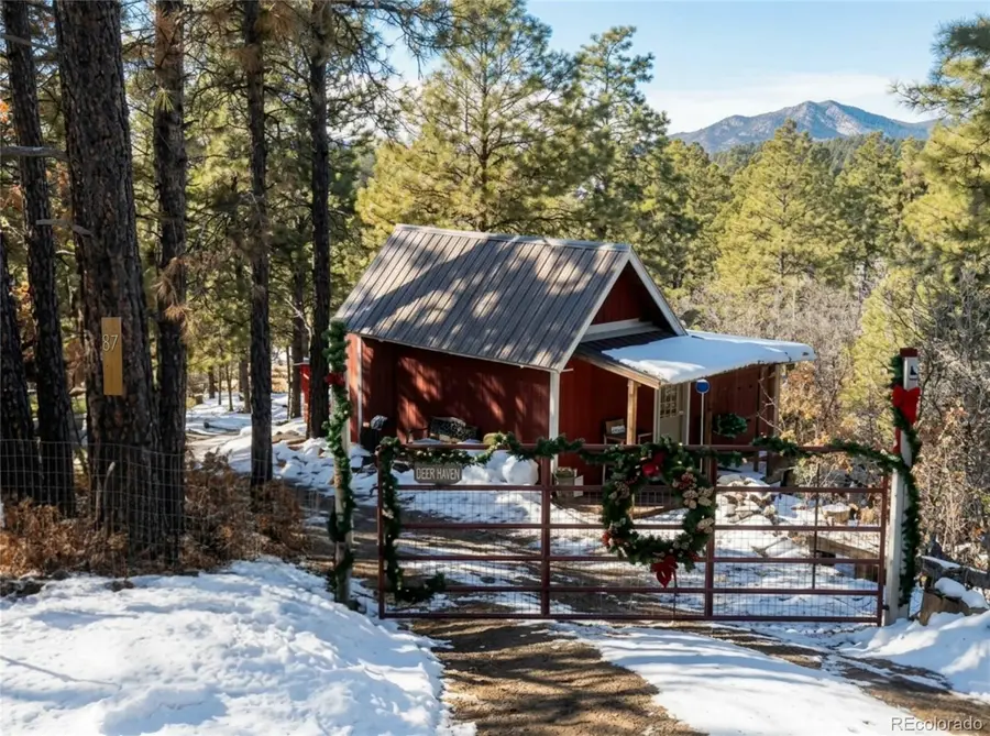 87 Crooked Road, Pagosa Springs, CO 81147 - #3