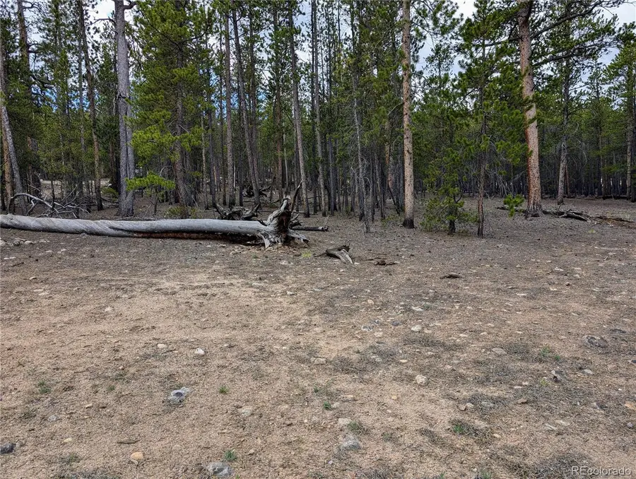 1073 Sequoia Drive, Twin Lakes, CO 81251 - Image #2