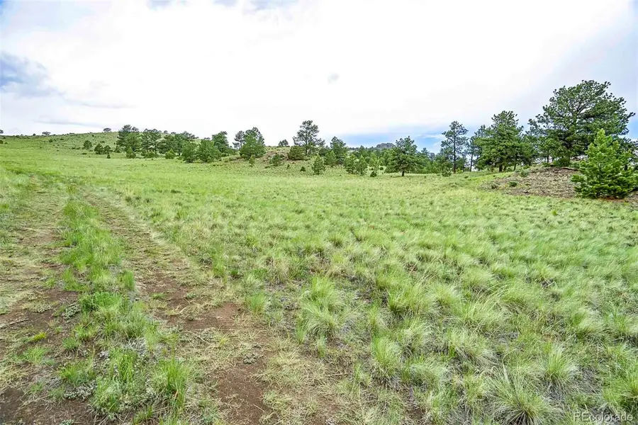 Tract 10 County Road 102, Guffey, CO 80820 - #3