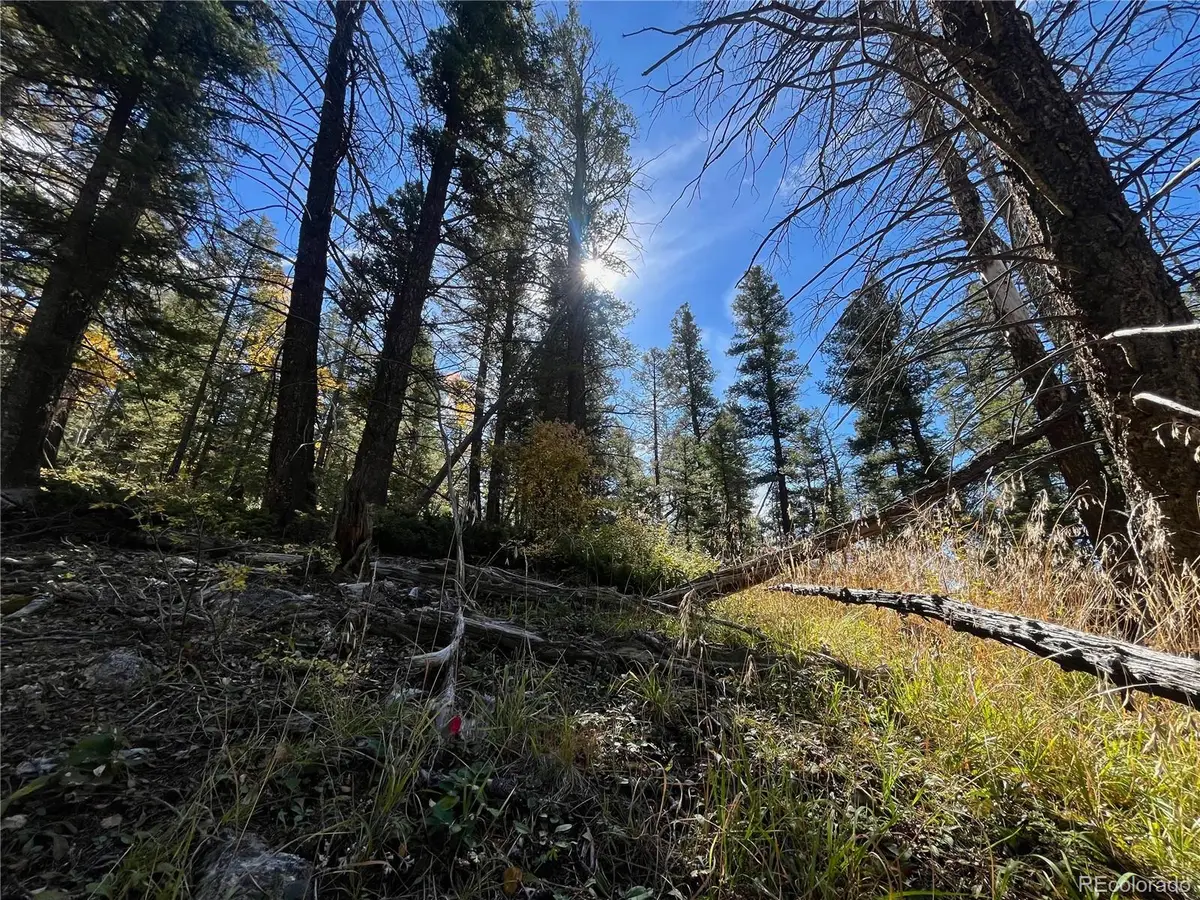 LOT 6187 Starkbeather Road, Fort Garland, CO 81133 - #1