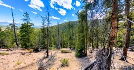 111 Kevin Gulch Road, Leadville, CO 80461 - #2