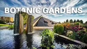 1060 N Washington Street #1A, Denver, CO 80203 - Image #3