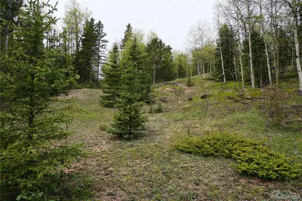 Vacant Land, Cripple Creek, CO 80813