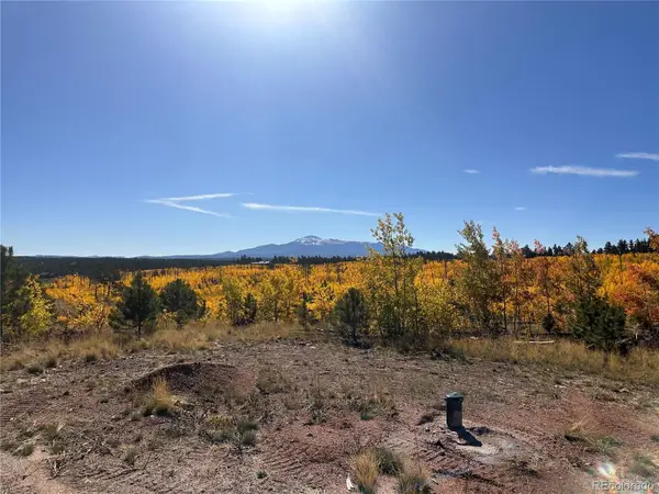 Lot 2 County Road 51, Florissant, CO 80816
