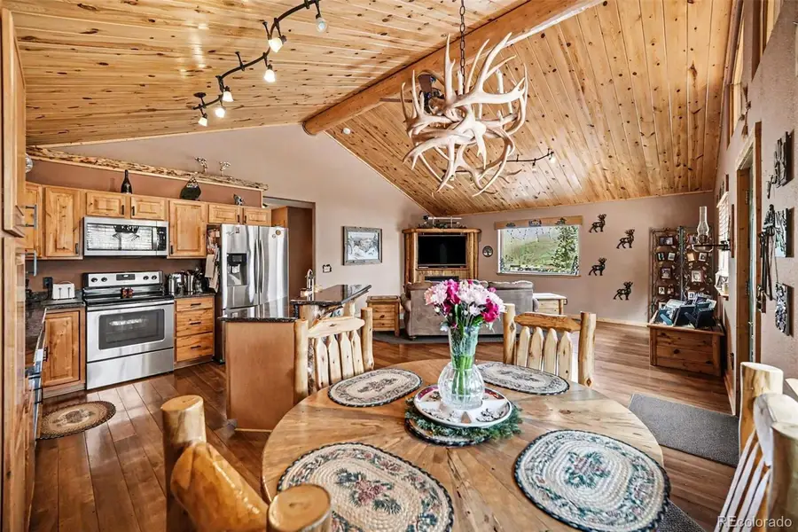 28 Juniper Way, Bailey, CO 80421 - #2