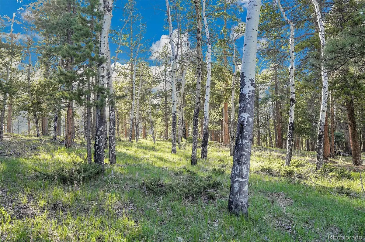 Molly Dr, Lot #3, Conifer, CO 80433 - #1