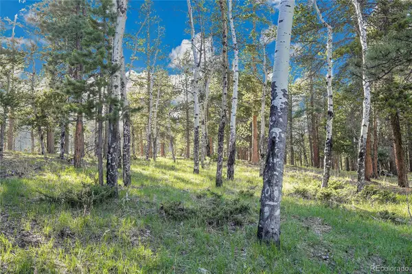 Molly Dr, Lot #3, Conifer, CO 80433