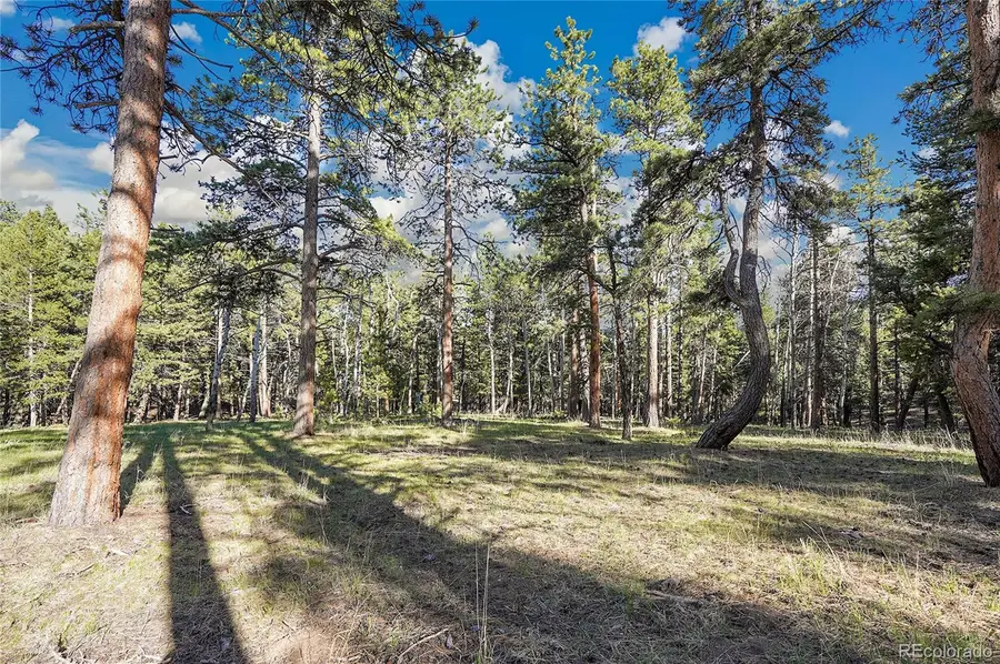 Molly Dr, Lot #3, Conifer, CO 80433 - #3