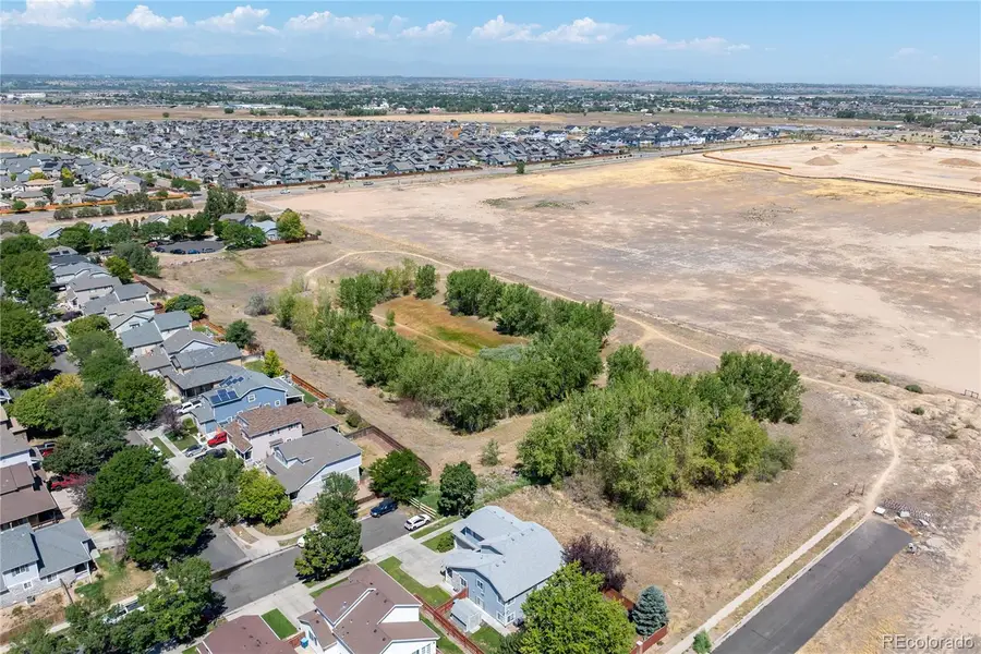 13994 E 107th Place, Commerce City, CO 80022 - #3