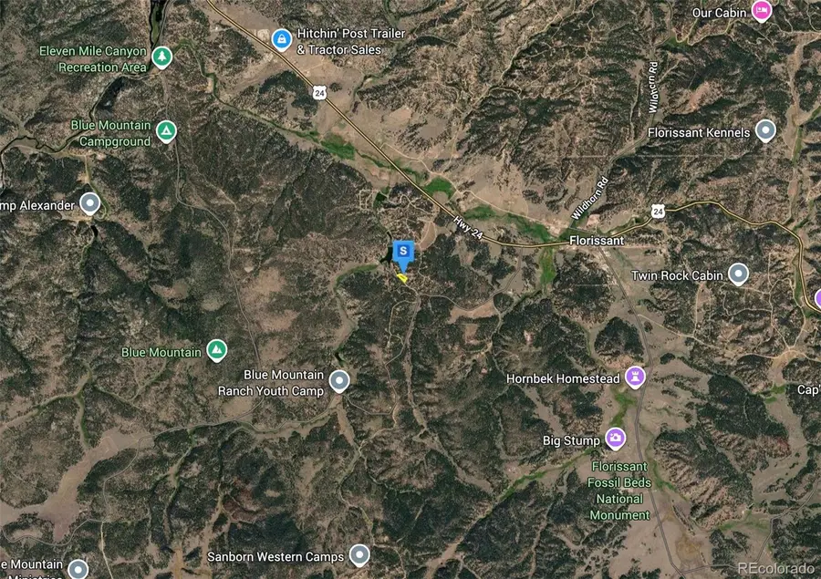 228 Wilson Drive, Florissant, CO 80816 - #3