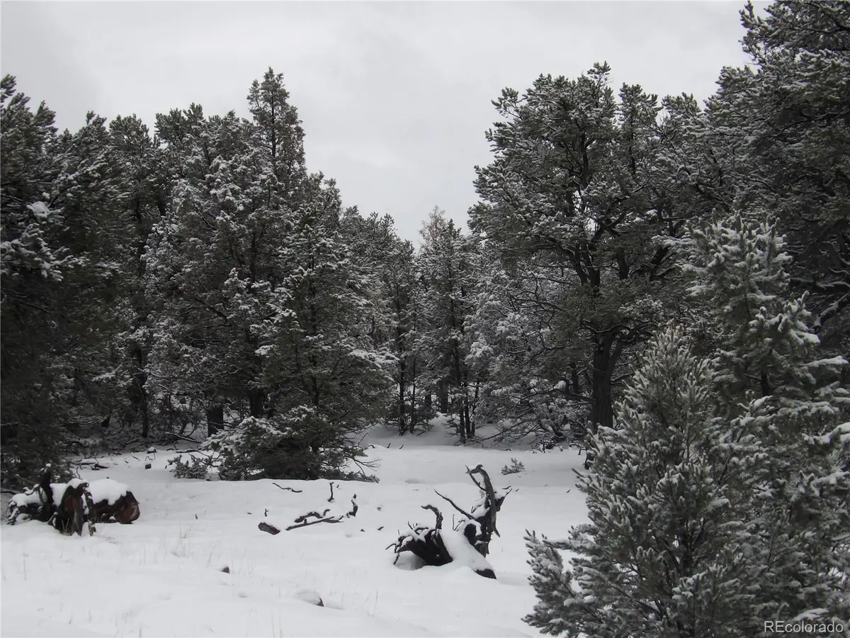 2119 & 2120 Oriole Overlook, Crestone, CO 81131 - Image #1